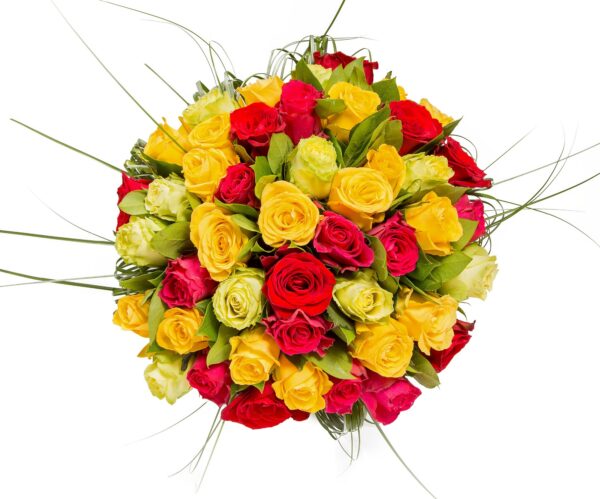 Ramo de 36 Rosas Multicolor / 36 Mixed Color Roses