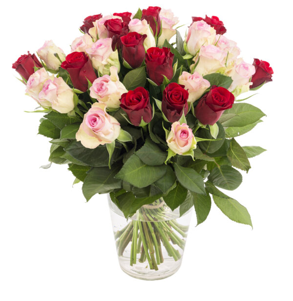 Composicion de 36 Rosas en Jarrón/ 36 Roses in a Vase