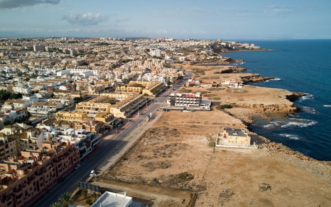 Entrega de Flores en Torrevieja: ¡Regala a quien amas!