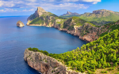 Entrega de flores en Mallorca: enviar flores a España