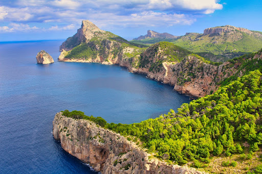 Entrega de flores en Mallorca: enviar flores a España