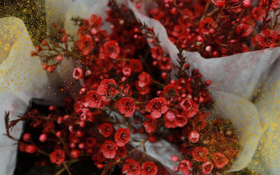 Es Navidad: ¡ideas de entrega de regalos florales!