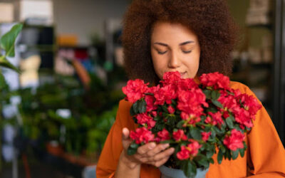 Flores para Clientes: Los Mejores Regalos para Mostrar Gratitud