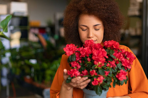 Flores para Clientes