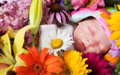 The Perfect Flowers to Welcome a New Baby