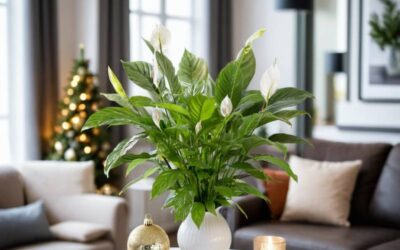 Christmas Flowers to Gift Love: Spain-wide Delivery