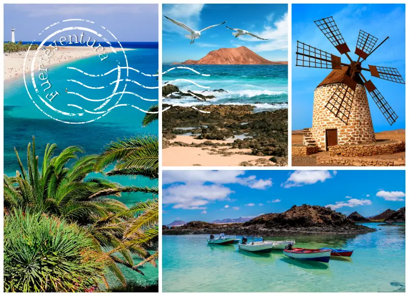Florist in Fuerteventura: Flower Delivery to Corralejo, Morro Jable, and Puerto del Rosario