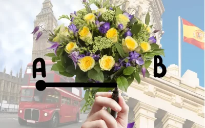 Gift Flowers on Women’s Day in Spain: A Guide for Foreigners Without Complications