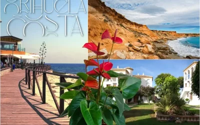 Online Florist in Orihuela Costa: Flower Delivery to Your Doorstep