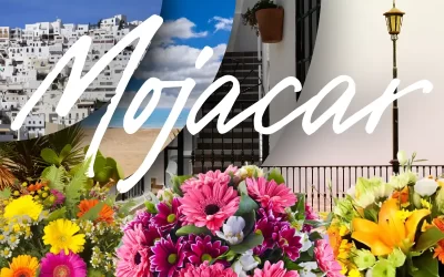 Send Flowers to Mojacar with Botanic Flora’s Charm