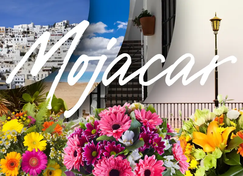 Send Flowers to Mojacar with Botanic Flora’s Charm