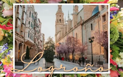 Guía Floral en Logroño: El Ramo Perfecto para Cada Ocasión con Botanic Flora