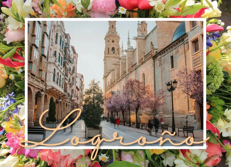 Guía Floral en Logroño: El Ramo Perfecto para Cada Ocasión con Botanic Flora