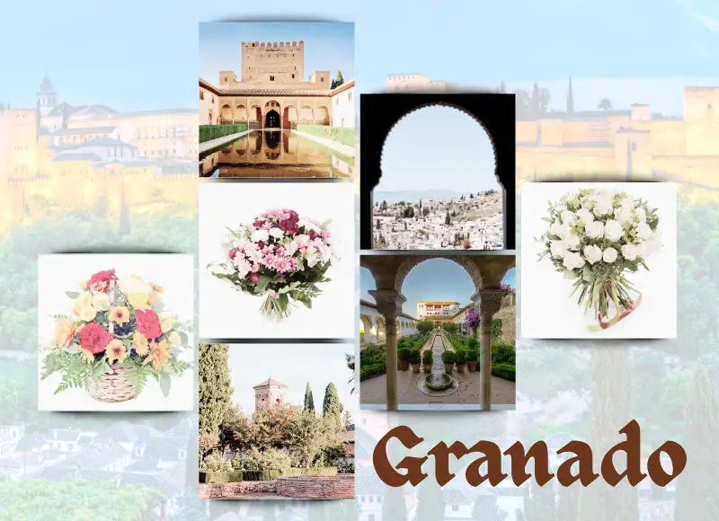 Envío de Flores a Granada: El Encanto Floral que Conecta con la Magia de la Alhambra